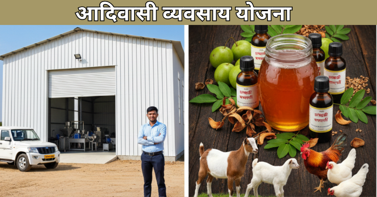 आदिवासी व्यवसाय योजना